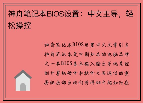 神舟笔记本BIOS设置：中文主导，轻松操控